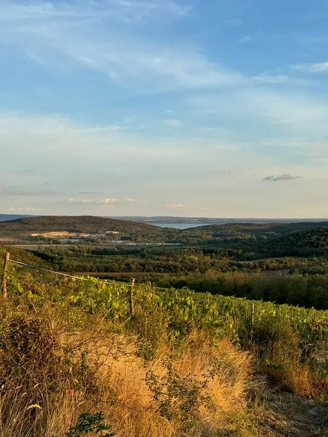 Kilátás a birtok szőlődombjáról a Káli-medencére, a távolban a Balatonnal